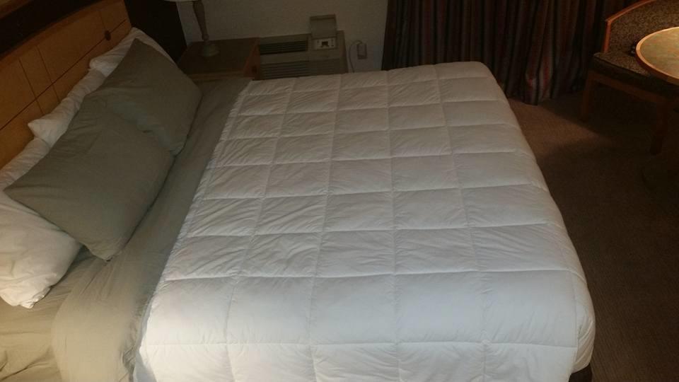 Canadas Best Value Inn Welland Exteriör bild